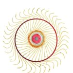 Диск грабли ворошилки с пружинами в сборе