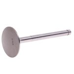 Клапан 236-1007010 В2 впускной